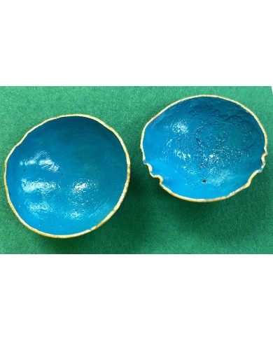 DH turquoise sEode3 - earrings